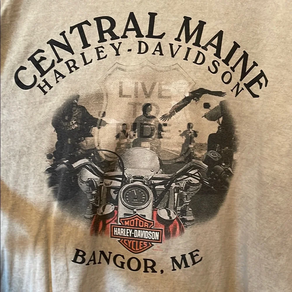 Harley-Davidson Gray Short Sleeve Tee Casual - Picture 6 of 6